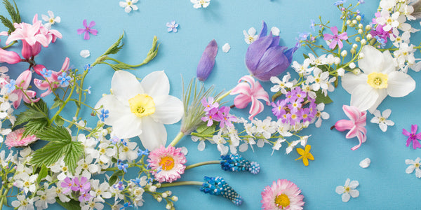A Celebration of Fragrance - National Perfume Day 2023